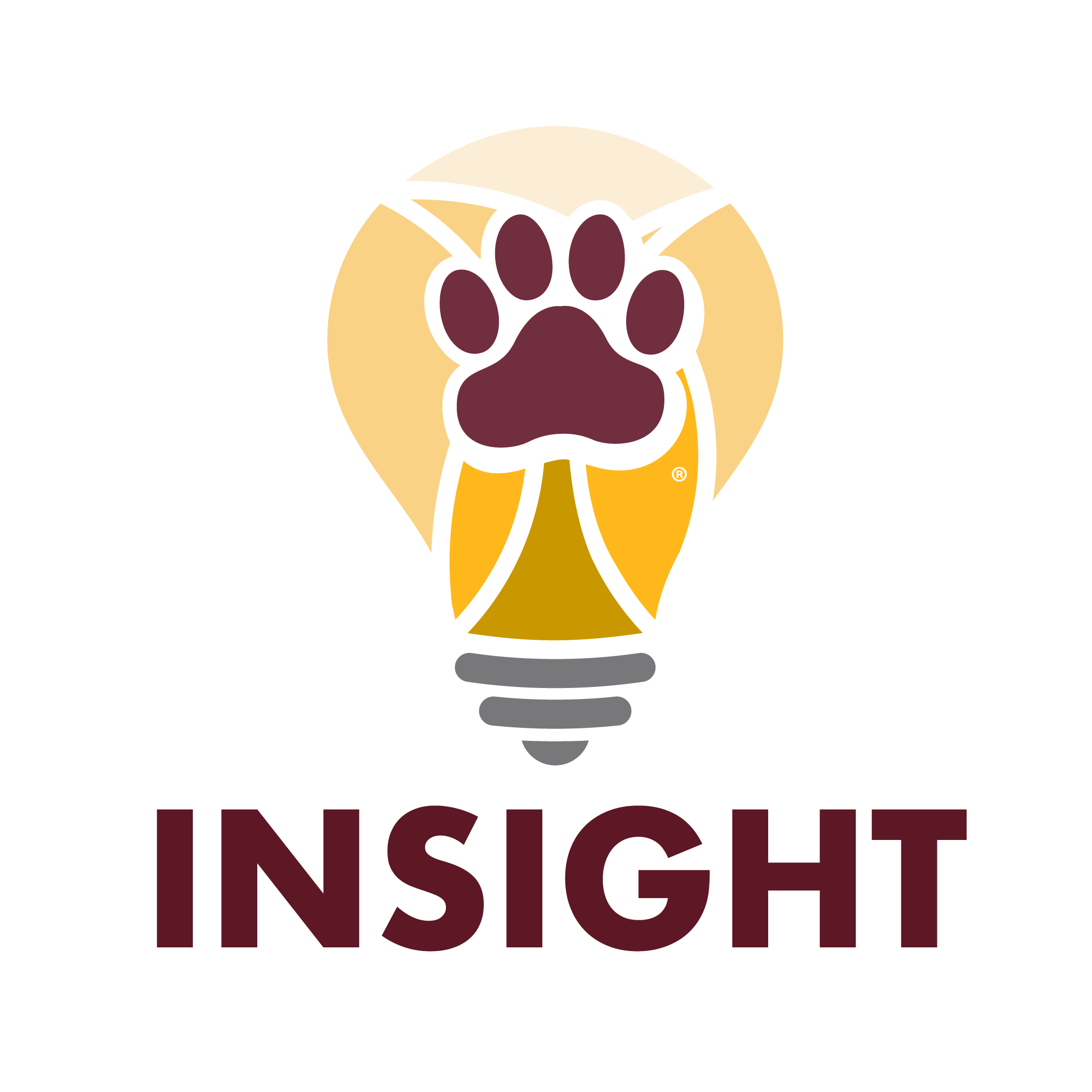 Insight Logo